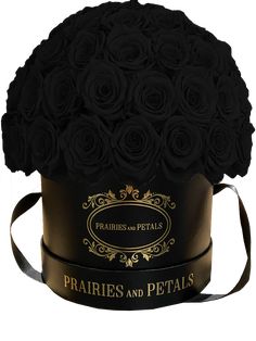 The Grand Fiorella is a magnificent arrangement that showcases over 100+ stunning roses that will last for an entire year. This piece is larger in size than our "Fiorella" and is one of our largest offerings, making it a perfect choice for grand gestures. Available in a variety of box options, the Grand Fiorella is a showstopper that is sure to leave a lasting impression. If you're looking to make a statement, this is the perfect arrangement to do just that. Select from our suede options for an Hollywood Hair, Pink Suede, Black White Pink, Tan Suede, Gray Suede, Blue Suede, Birthday Anniversary, Classic White, Black Suede