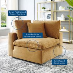 an image of a couch that is labeled in different parts of the body and features