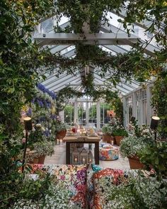 a room filled with lots of plants and furniture