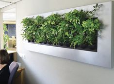 a woman sitting at a desk in front of a wall mounted planter filled with green plants