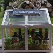 there is a glass case with bottles in it and plants inside the box on the table