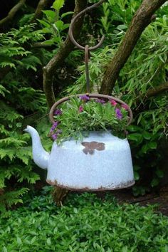 an old tea pot with plants growing out of it