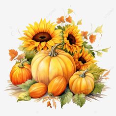 hand painted watercolor pumpkins and sunflowers arrangement thanksgiving pumpkins watercolor pumpk Happy Thanksgiving Wallpaper, Panel Ideas, Fall Drawings, Pumpkin Drawing, Sunflower Arrangements, Pumpkin Arrangements, Image Halloween, Memory Quilts, Thanksgiving Wallpaper