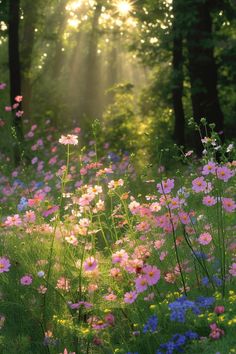 the sun is shining through the trees and wildflowers in the forest, with bright beams of light coming from behind them