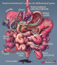 an image of the human body's organ systems and their corresponding functions in it