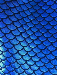 the scales of a fish's tail are blue