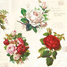 four different types of flowers are shown on a white background with green and red leaves