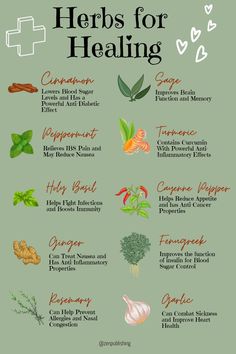 Astrology Witch, Salad Board, Herbs For Healing, Shark Images, Reduce Nausea, Herbal Garden, Clinical Nutrition, Home Apothecary, Diy Beauty Treatments