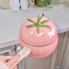 a person holding a pink container with a green plant on it