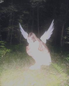 an angel sitting in the middle of a forest at night with its wings spread out