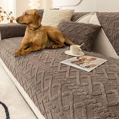 a brown dog laying on top of a bed next to a cup and saucer