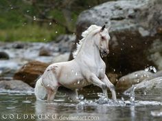 a white horse is running in the water near some rocks and trees, with it's front legs spread out