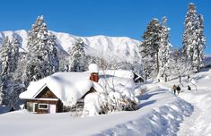 people are walking through the snow in their skis and backpacks on a sunny day