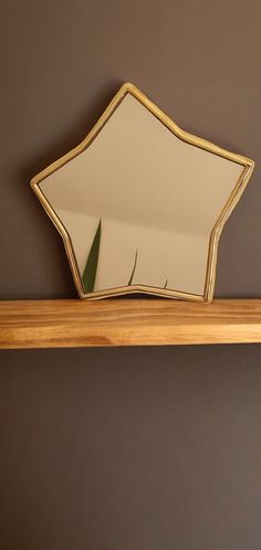 a mirror sitting on top of a wooden shelf next to a wall with a plant growing out of it