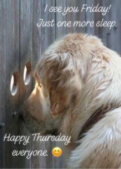 a dog that is leaning against a fence with its head on the wall and it says, i see you friday just one more sleep