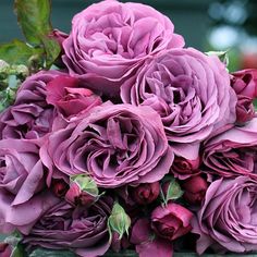 a bouquet of purple flowers sitting on top of a table