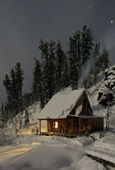 a cabin in the middle of a snowy forest at night with lights shining on it's roof