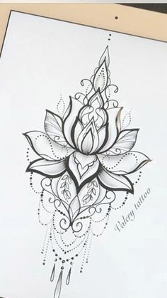 a drawing of a lotus flower on paper