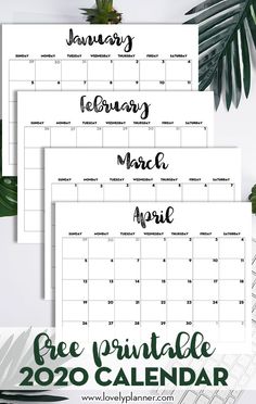 the free printable calendar for january and march with palm leaves around it on a desk