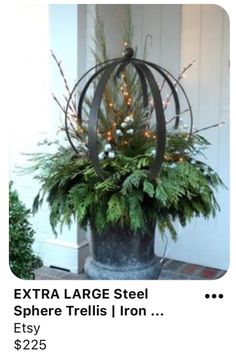 a potted plant with christmas lights in it