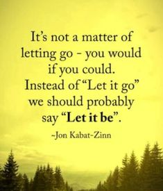 a quote from jon kabatz - zinn on letting go you would if you could