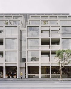 a tall building with lots of windows next to a tree on the side of the road