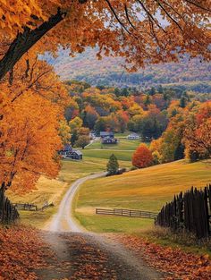 a country road surrounded by trees with fall foliage