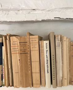 several books are lined up on a shelf