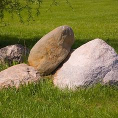 there is a bear that is sitting on some rocks in the grass and looking at something