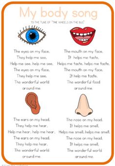 an orange and white poster with words describing the body's parts, including eyes