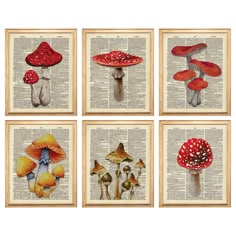 four different types of mushrooms on an old book page, each with their own image