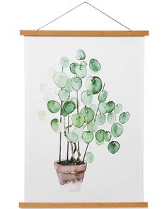 a watercolor painting of a potted plant on a white wall hanging from a wooden frame