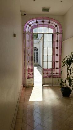 an open door leading into a room with a potted plant