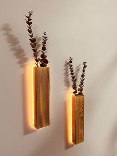 two wooden vases with plants in them on the wall next to each other,