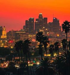 the city skyline is lit up at night, with palm trees and buildings in the foreground