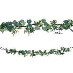 two branches with green leaves and white flowers on them are arranged in the same pattern