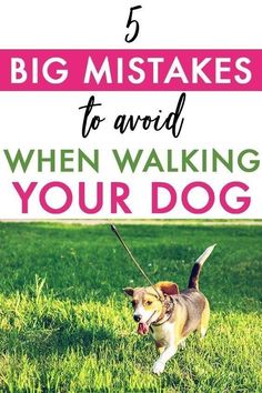 a dog walking in the grass with text overlay that reads 5 big mistakes to avoid when walking your dog