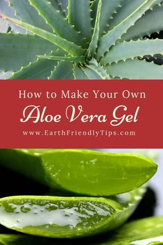 Learn how to make aloe vera gel with a few simple steps so you can always enjoy the excellent natural beauty and health benefits at home. #ecofriendly #natural #greenliving Cooking With Turmeric, Brown Spots Removal, Aloe Gel, Natural Healing Remedies, Aloe Vera Plant, Beauty And Health, Natural Therapy