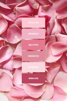 Rose Petals Color Palette Inspo Berry Pink Color Palette, Dark Rose Color Palette, Pink Winter Color Palette, Comfort Color Palette, Soft Feminine Color Palette, What Color Goes With Pink, Pink Pallets, Pink Palette Color, Coquette Color Palette