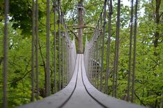 a long suspension bridge in the middle of a forest