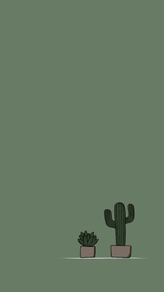 two potted cacti sitting next to each other on a green wallpaper