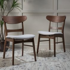 two chairs sitting next to each other in front of a potted plant on the floor