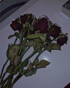 some red roses sitting on top of a white table