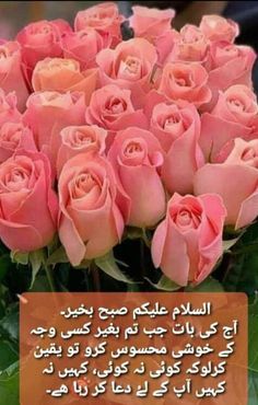 some pink roses with arabic writing on the front and back side, in an english language