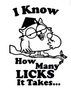 a black and white drawing of an owl on a branch with the words i know how many licks it takes