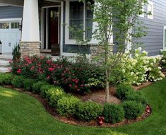 a house with landscaping in the front yard