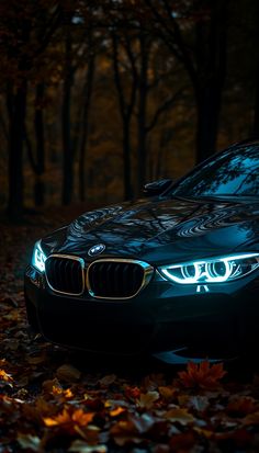 a car parked in the woods with leaves on the ground and trees around it at night