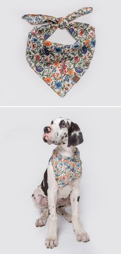 a dog wearing a bandana and sitting next to it's owner, both in different colors