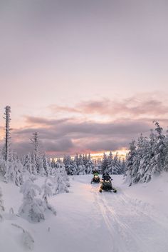 two people on snowmobiles going down a snowy road in the woods at sunset