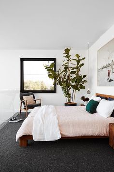 a bedroom with a bed, plant and pictures on the wall